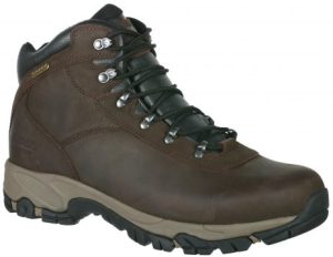 Altitude-V-Ultra-Choc-CAT(1)